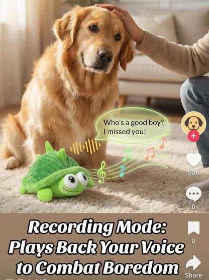 Motion-Activated Interactive Dog Ball - USB Rechargeable Automatic Rolling Toy with Squeaker for Dogs and Cats of All Sizes, Durable Indoor and Outdoor Pet Entertainment