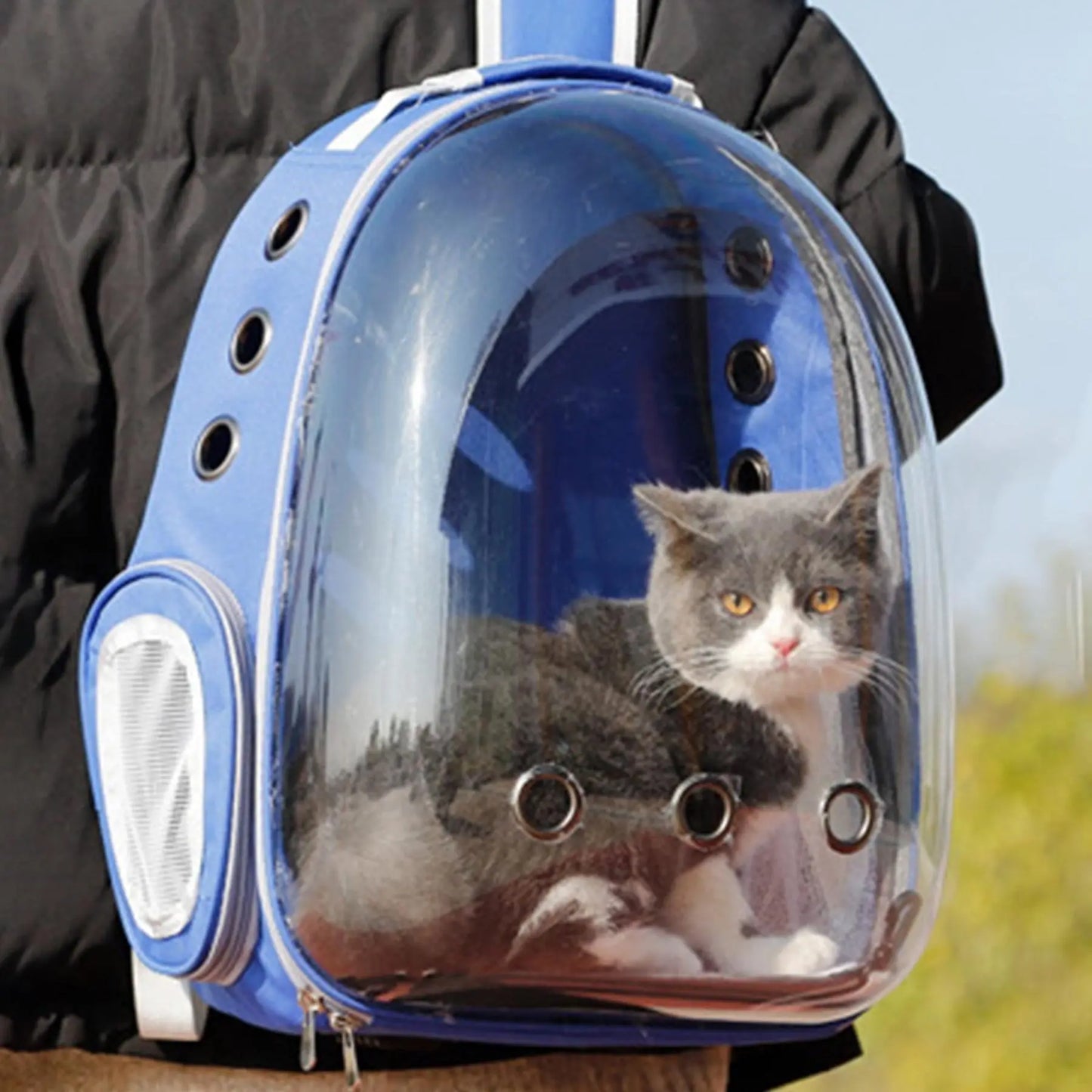 Outdoor Pet Backpack for Cats and Dogs, Portable and Breathable Carrier for Travel